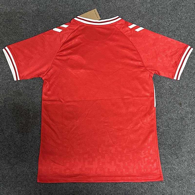 Camiseta Dinamarca 2024 Home
